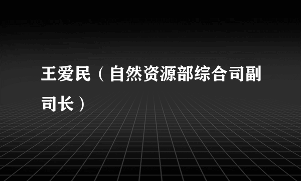 王爱民（自然资源部综合司副司长）