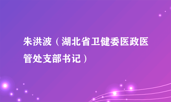 朱洪波（湖北省卫健委医政医管处支部书记）