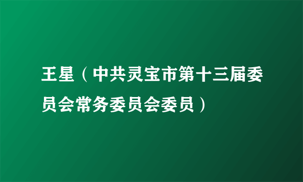 王星（中共灵宝市第十三届委员会常务委员会委员）