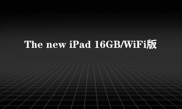 The new iPad 16GB/WiFi版