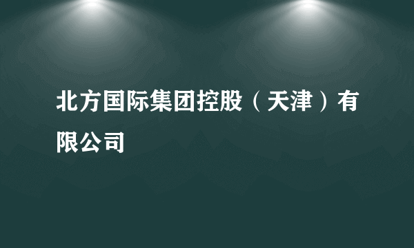 北方国际集团控股（天津）有限公司