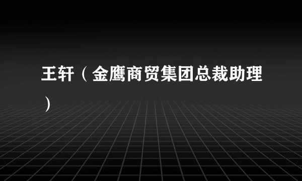 王轩（金鹰商贸集团总裁助理）