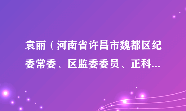 袁丽（河南省许昌市魏都区纪委常委、区监委委员、正科级检查员）