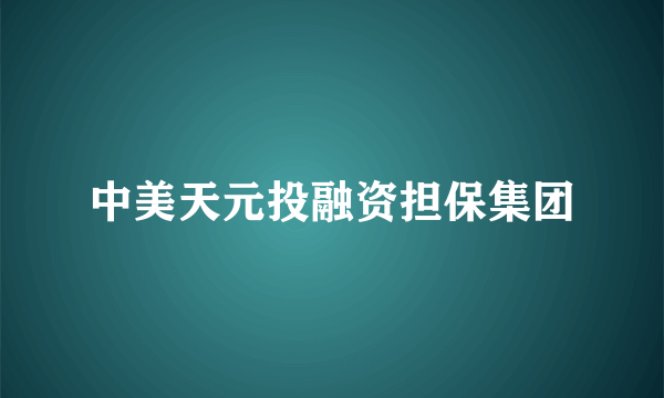 中美天元投融资担保集团