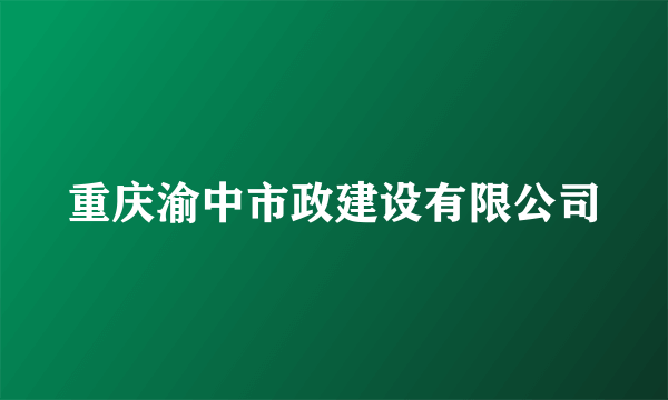 重庆渝中市政建设有限公司