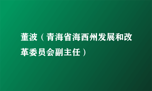 董波（青海省海西州发展和改革委员会副主任）