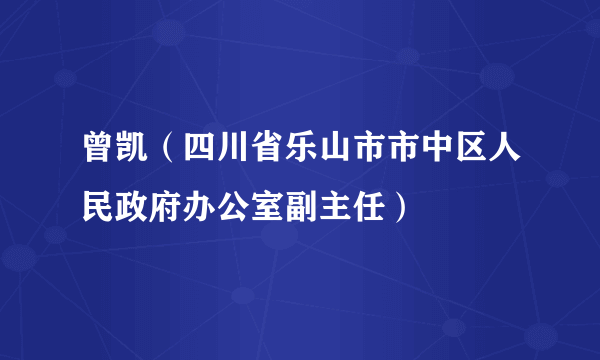 曾凯（四川省乐山市市中区人民政府办公室副主任）