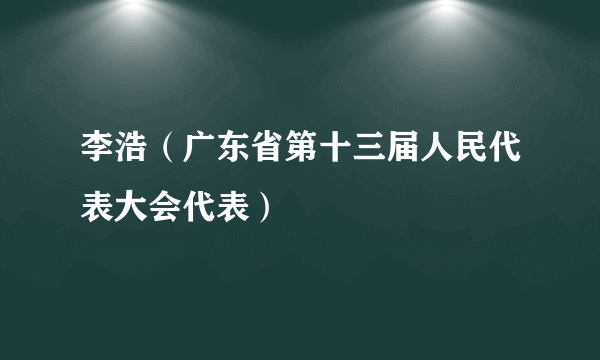 李浩（广东省第十三届人民代表大会代表）