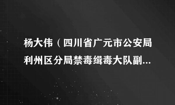 杨大伟（四川省广元市公安局利州区分局禁毒缉毒大队副大队长）