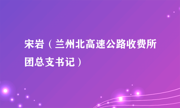 宋岩（兰州北高速公路收费所团总支书记）