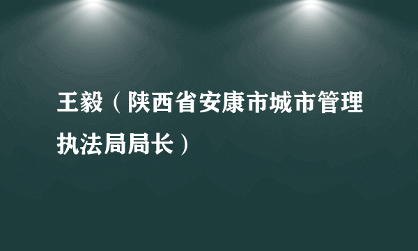 王毅（陕西省安康市城市管理执法局局长）