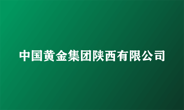 中国黄金集团陕西有限公司