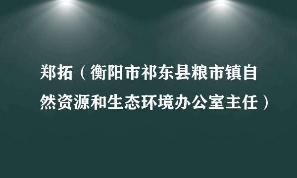 郑拓（衡阳市祁东县粮市镇自然资源和生态环境办公室主任）