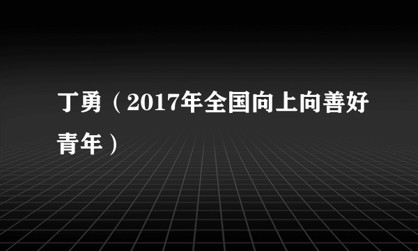 丁勇（2017年全国向上向善好青年）