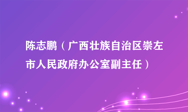 陈志鹏（广西壮族自治区崇左市人民政府办公室副主任）