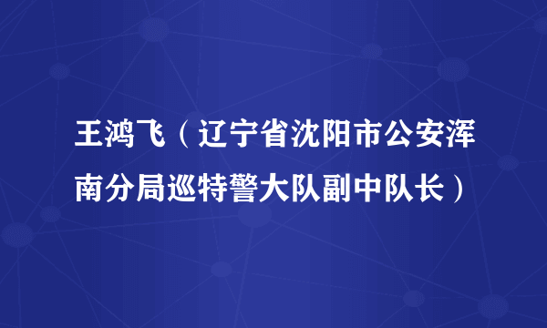 王鸿飞（辽宁省沈阳市公安浑南分局巡特警大队副中队长）