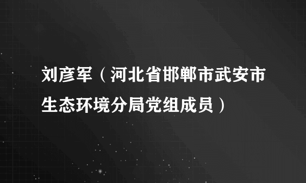 刘彦军（河北省邯郸市武安市生态环境分局党组成员）