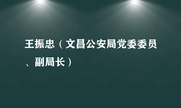 王振忠（文昌公安局党委委员、副局长）