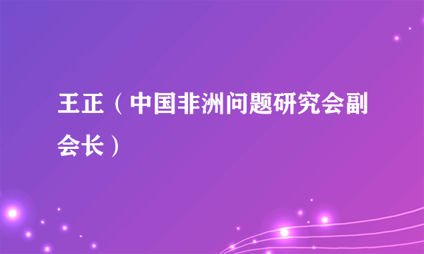 王正（中国非洲问题研究会副会长）