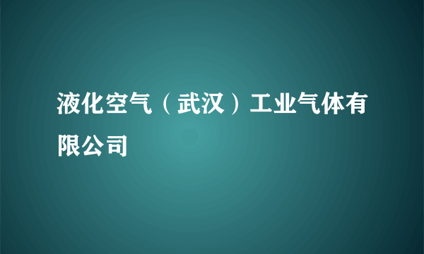 液化空气（武汉）工业气体有限公司