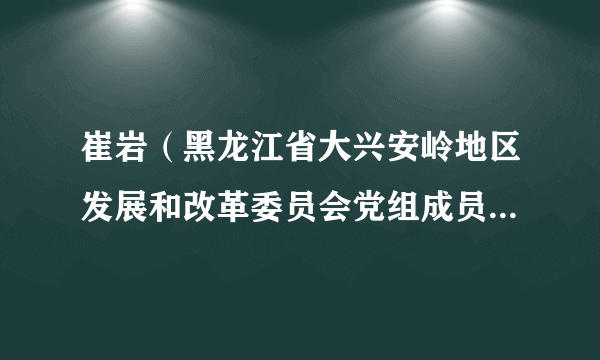 崔岩（黑龙江省大兴安岭地区发展和改革委员会党组成员、副主任）