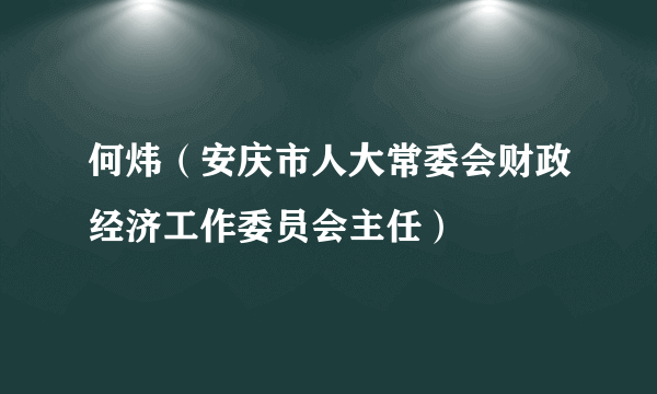 何炜（安庆市人大常委会财政经济工作委员会主任）