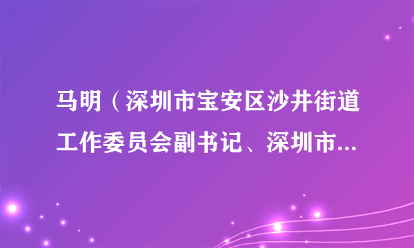 马明（深圳市宝安区沙井街道工作委员会副书记、深圳市宝安区沙井街道办事处主任）