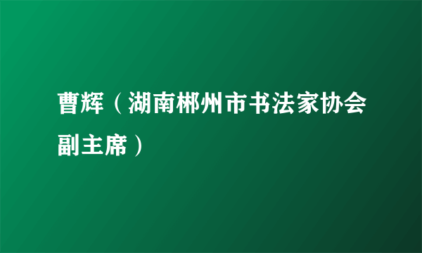 曹辉（湖南郴州市书法家协会副主席）