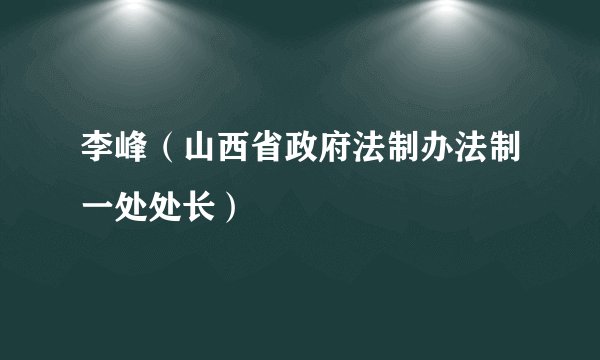 李峰（山西省政府法制办法制一处处长）