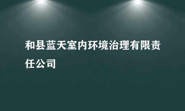 和县蓝天室内环境治理有限责任公司