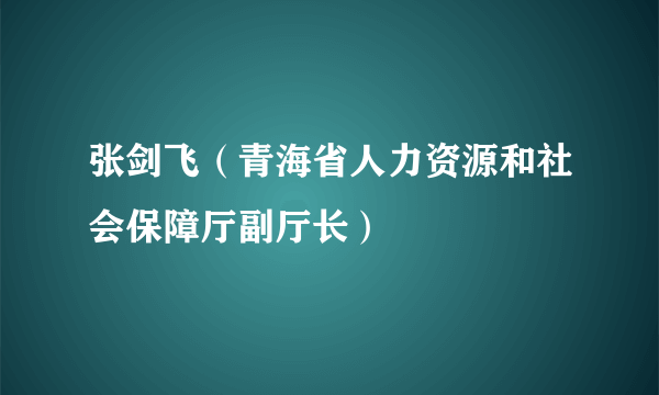 张剑飞（青海省人力资源和社会保障厅副厅长）