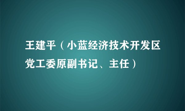 王建平（小蓝经济技术开发区党工委原副书记、主任）