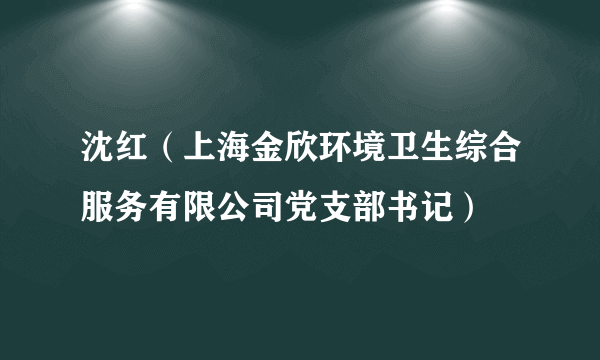 沈红（上海金欣环境卫生综合服务有限公司党支部书记）