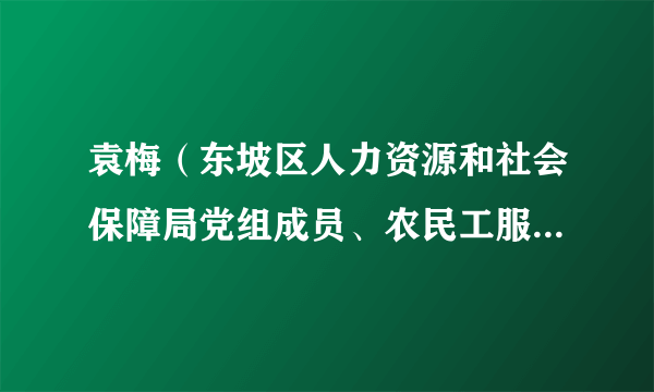 袁梅（东坡区人力资源和社会保障局党组成员、农民工服务中心主任。）