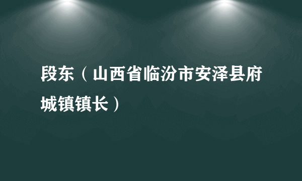 段东（山西省临汾市安泽县府城镇镇长）