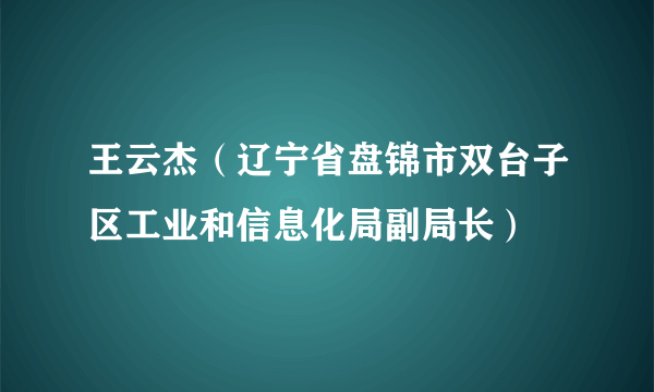 王云杰（辽宁省盘锦市双台子区工业和信息化局副局长）