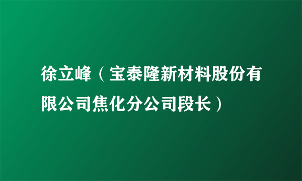 徐立峰（宝泰隆新材料股份有限公司焦化分公司段长）