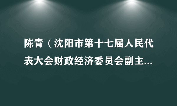 陈青（沈阳市第十七届人民代表大会财政经济委员会副主任委员）