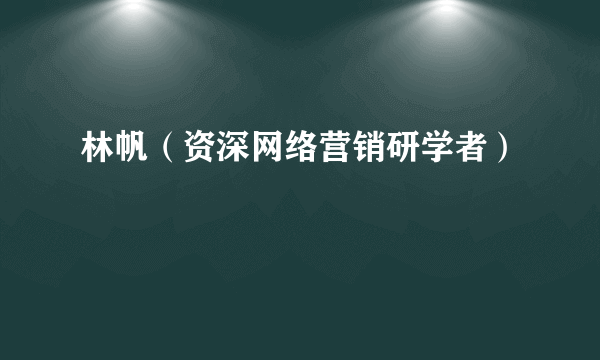 林帆（资深网络营销研学者）