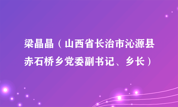 梁晶晶（山西省长治市沁源县赤石桥乡党委副书记、乡长）