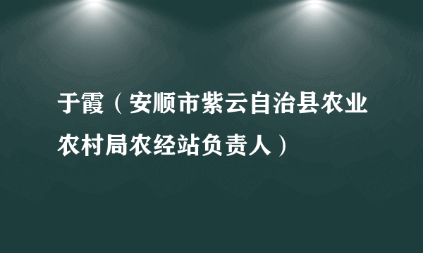 于霞（安顺市紫云自治县农业农村局农经站负责人）