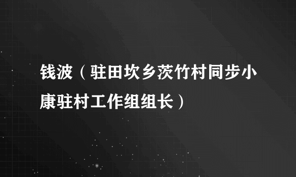 钱波（驻田坎乡茨竹村同步小康驻村工作组组长）