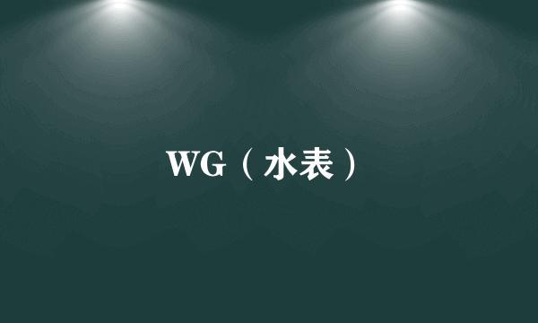 WG（水表）