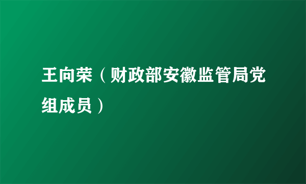 王向荣（财政部安徽监管局党组成员）