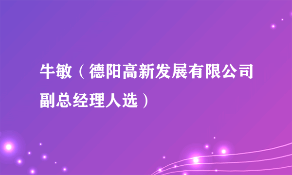 牛敏（德阳高新发展有限公司副总经理人选）