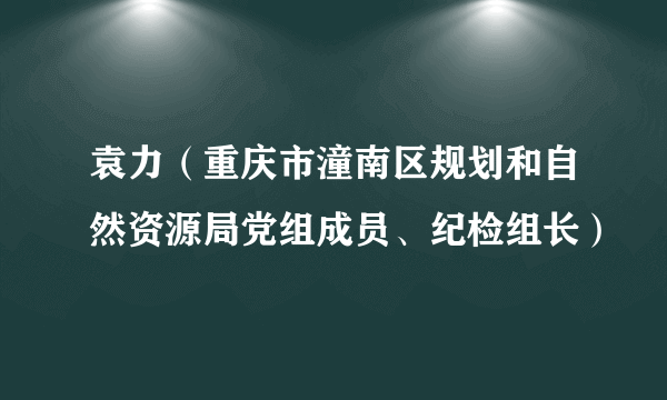 袁力（重庆市潼南区规划和自然资源局党组成员、纪检组长）