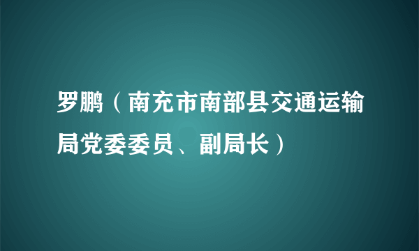 罗鹏（南充市南部县交通运输局党委委员、副局长）