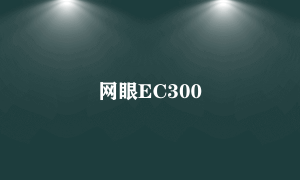 网眼EC300