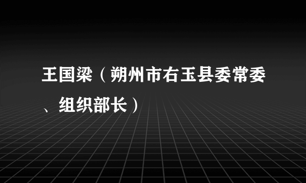 王国梁（朔州市右玉县委常委、组织部长）