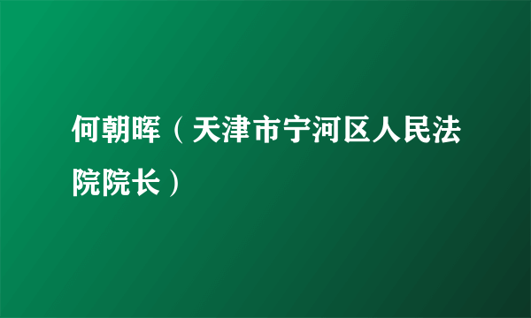 何朝晖（天津市宁河区人民法院院长）